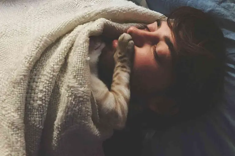Katten sätter en tass i ansiktet på husse när han ligger och sover