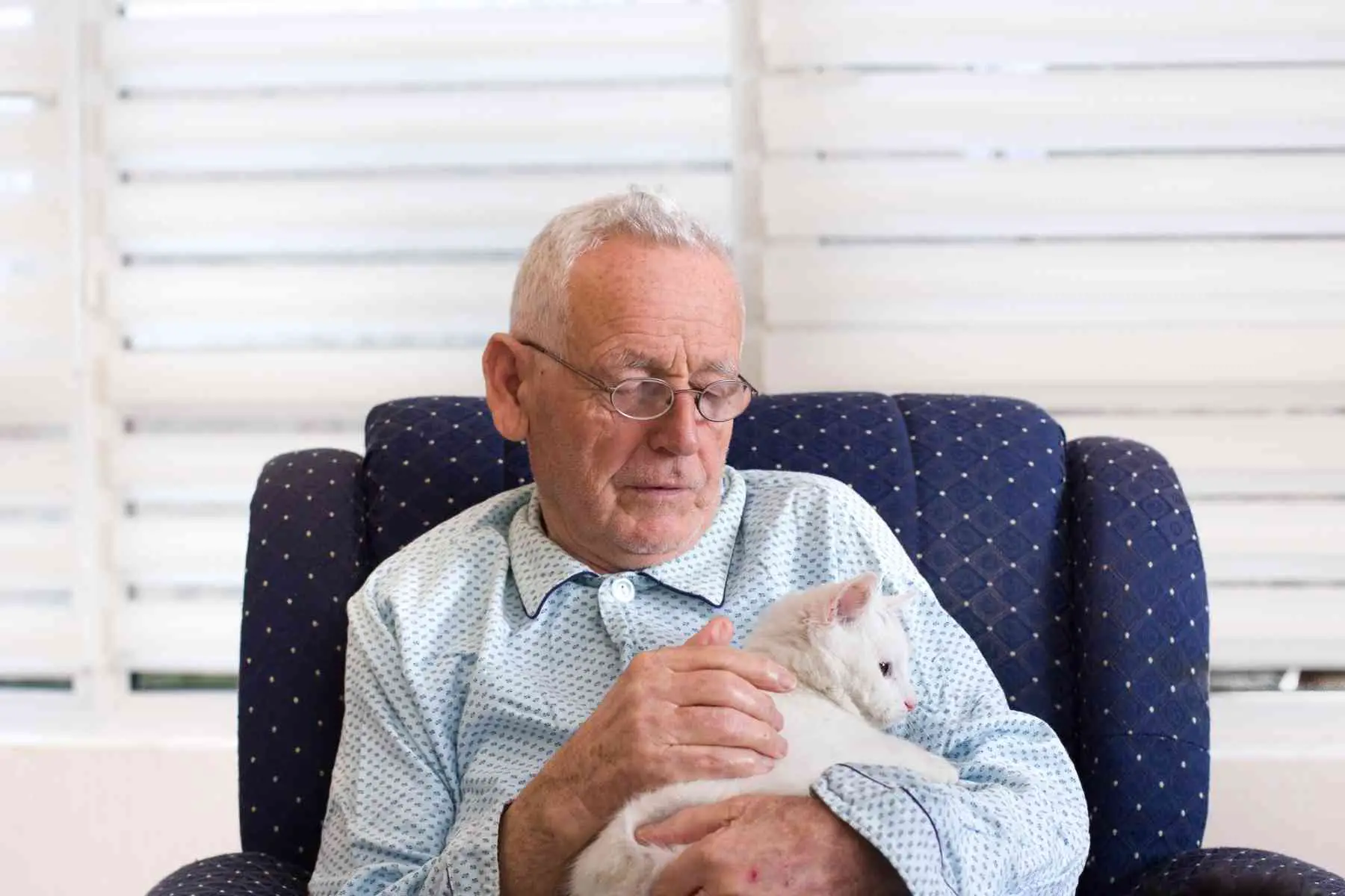 Vit katt sitter i knät på en gammal man och kramar hans arm