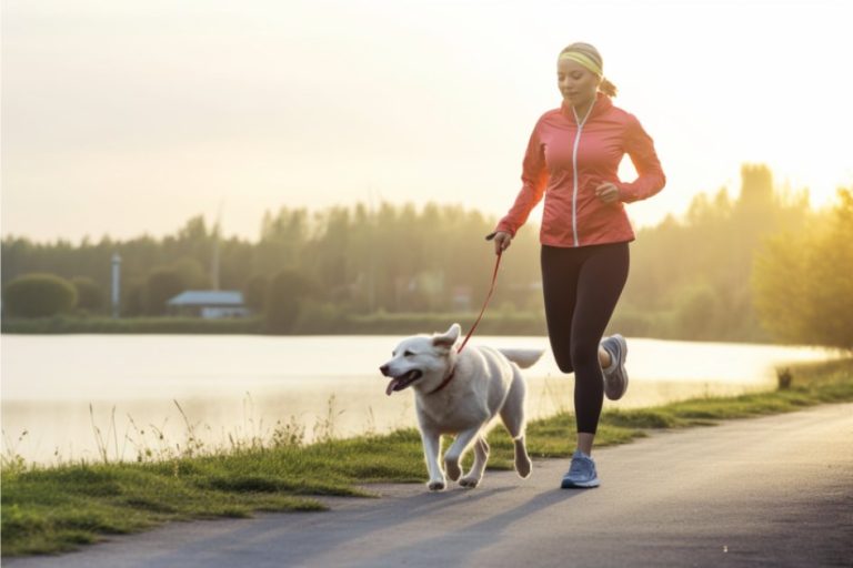 Springa med hund: En guide för dig som vill börja jogga med din hund!